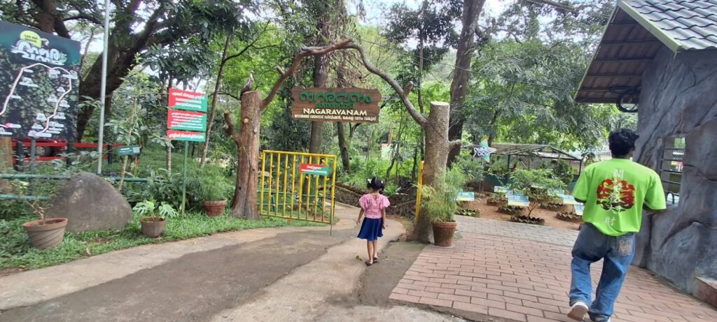 നഗര മദ്ധ്യത്തിലൊരു വനം: സഞ്ചാരികളുടെ മനം കവര്‍ന്ന് മാനന്തവാടിയിലെ നഗരവനം